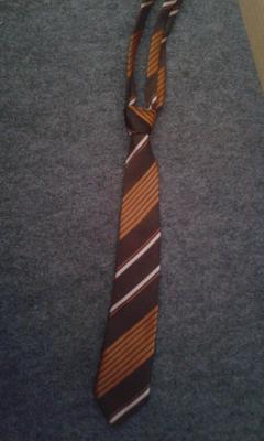 Pánska kravata - Obrázok č. 1