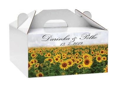 Krabice na vyslužku - Obrázok č. 1