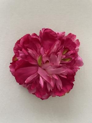 Kvet do vlasov fuchsia - Obrázok č. 1